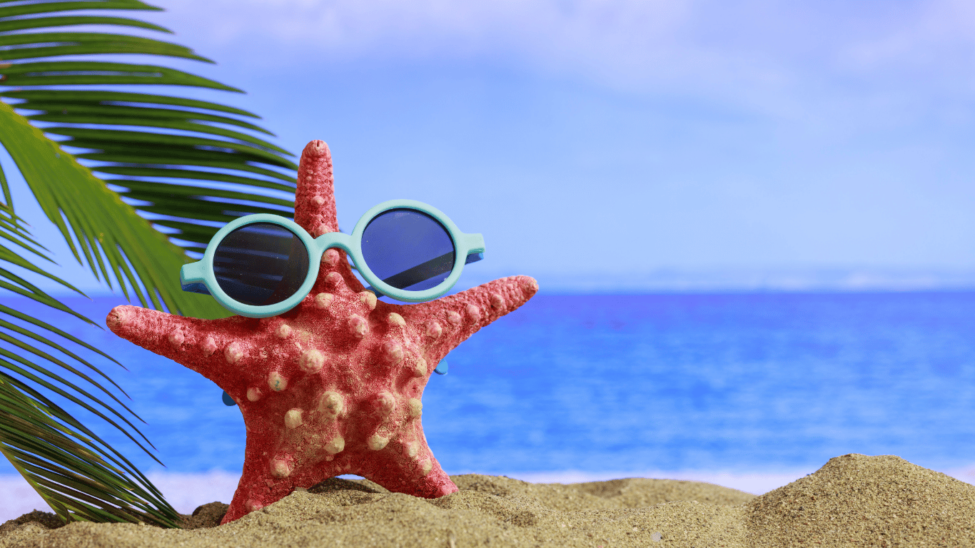Seestern mit Sonnenbrille am Strand
